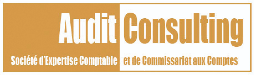 Expert-comptable, Audit Consulting